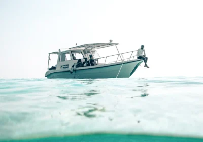 Daymaniyat Private Tour