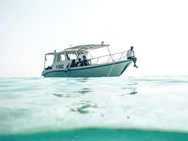 Daymaniyat Private Tour