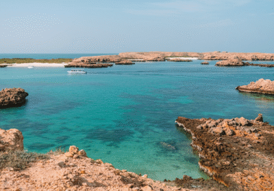 Best Time to Visit Daymaniyat Islands for Snorkeling and Marine Life