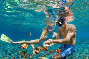 daymaniyat snorkeling tour