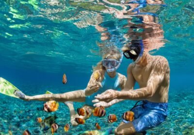 Top 5 Reasons to Snorkel at Daymaniyat Islands