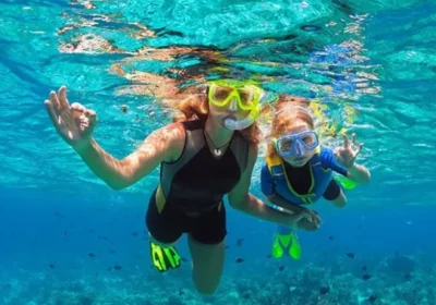 What Marine Life Can You See at Daymaniyat Islands? A Snorkeler's Guide